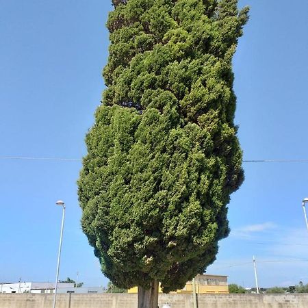 מזרה דל ואלו L'Albero Bello Holiday מראה חיצוני תמונה